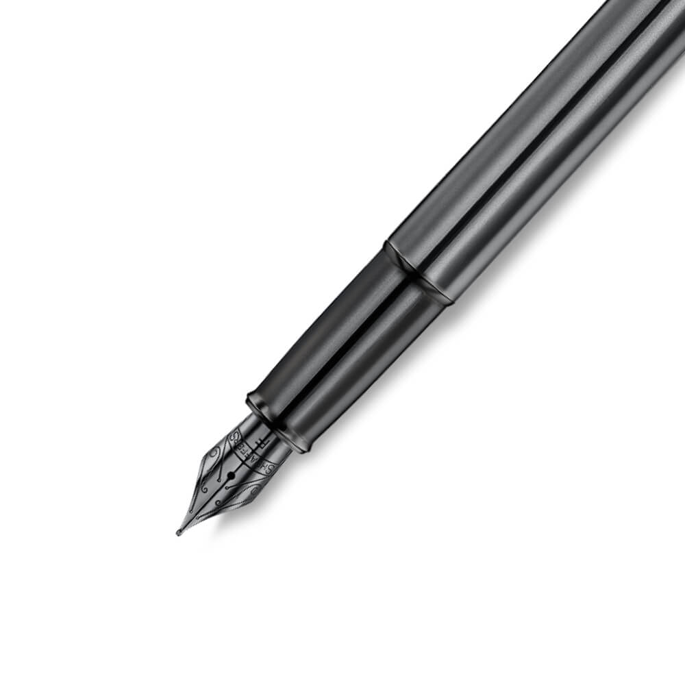 公式 シェーファー 100 アイオニック 万年筆