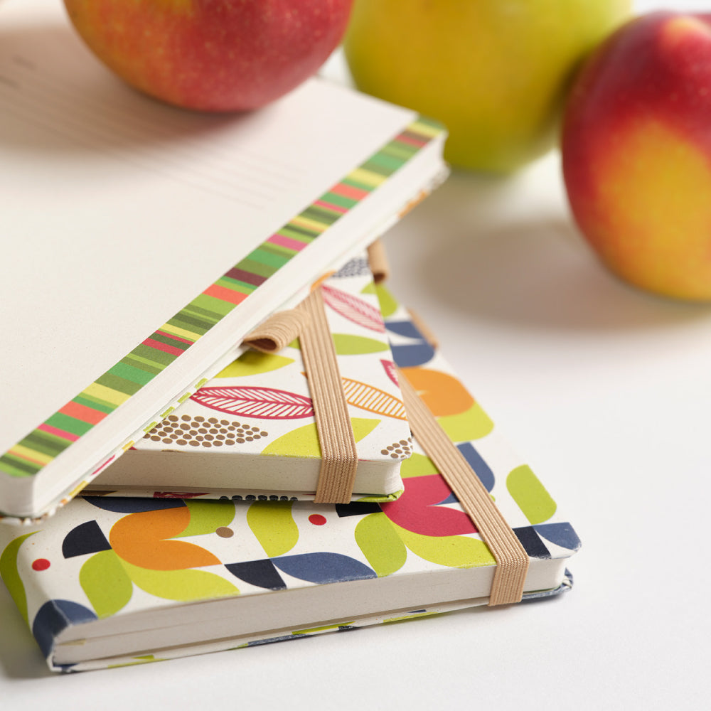 カステリミラノ 1938 アッピル シーズン 罫線 ミディアムサイズ 手帳