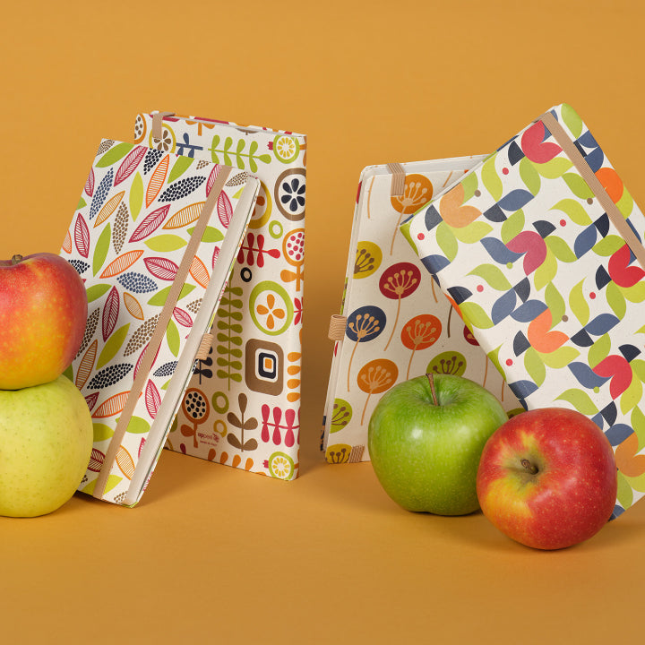 カステリミラノ 1938 アッピル シーズン 罫線 ミディアムサイズ 手帳