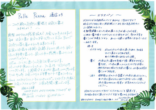 ペレペンナ通信Vol.23