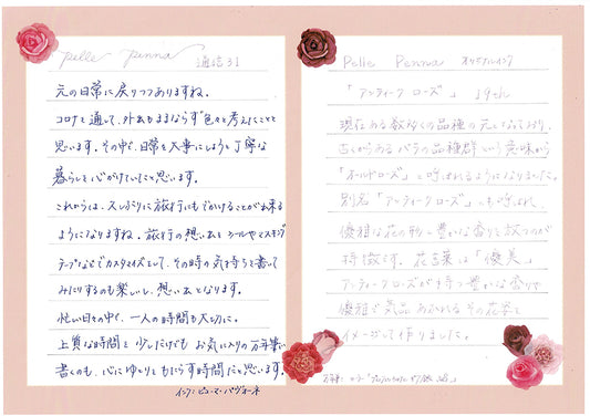 ペレペンナ通信Vol.31